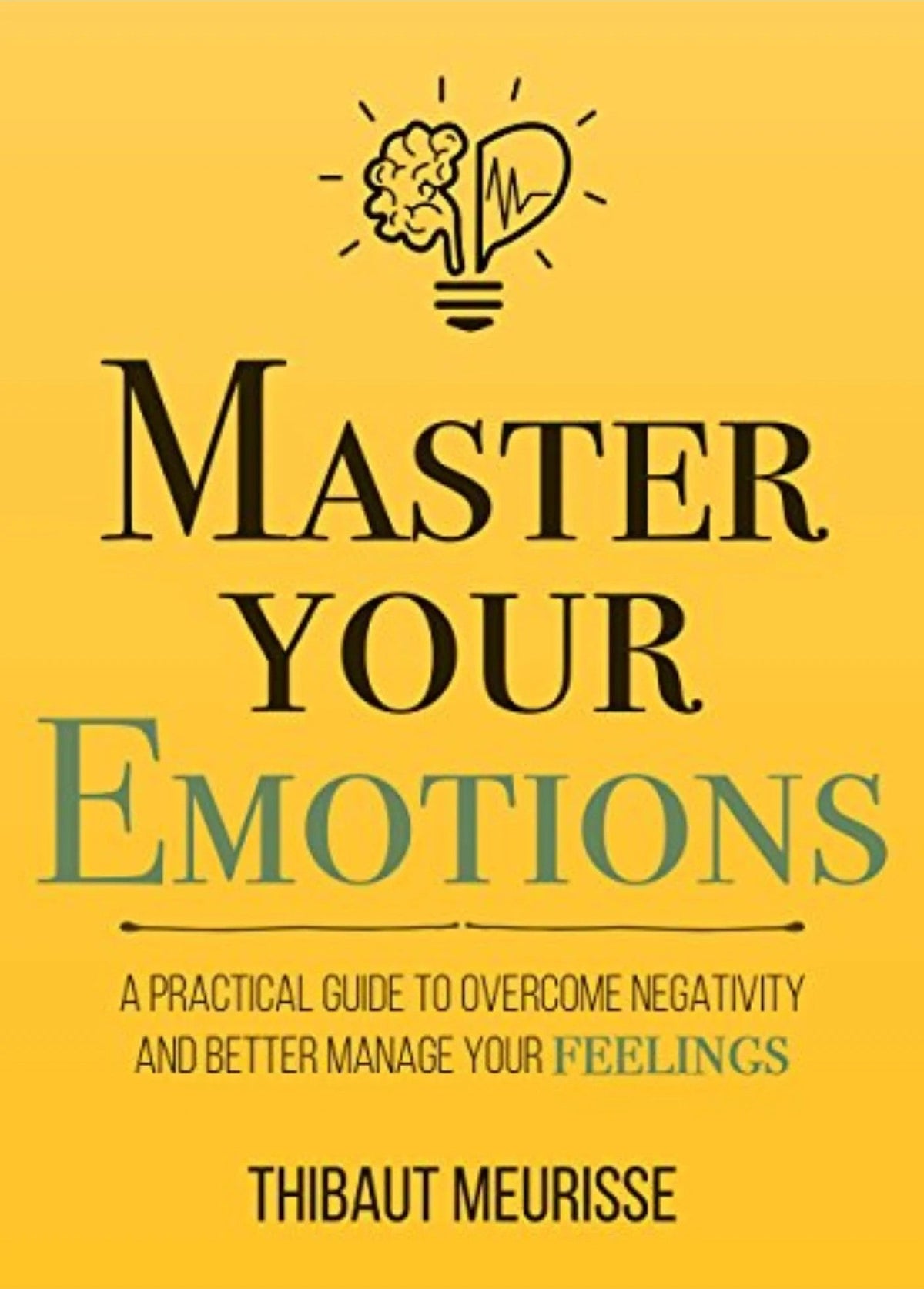 Cover of MASTER YOUR EMOTIONS By THIBAUT MEURISSE