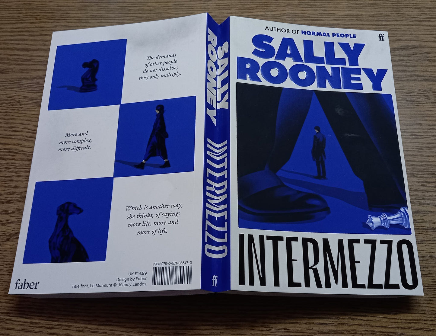Intermezzo by Sally Rooney | International Bestselling Contemporary Literary Fiction Novel | Paperback