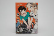 Product image of How Do We Relationship? Vol. 3 By Tamifull (Paperback)