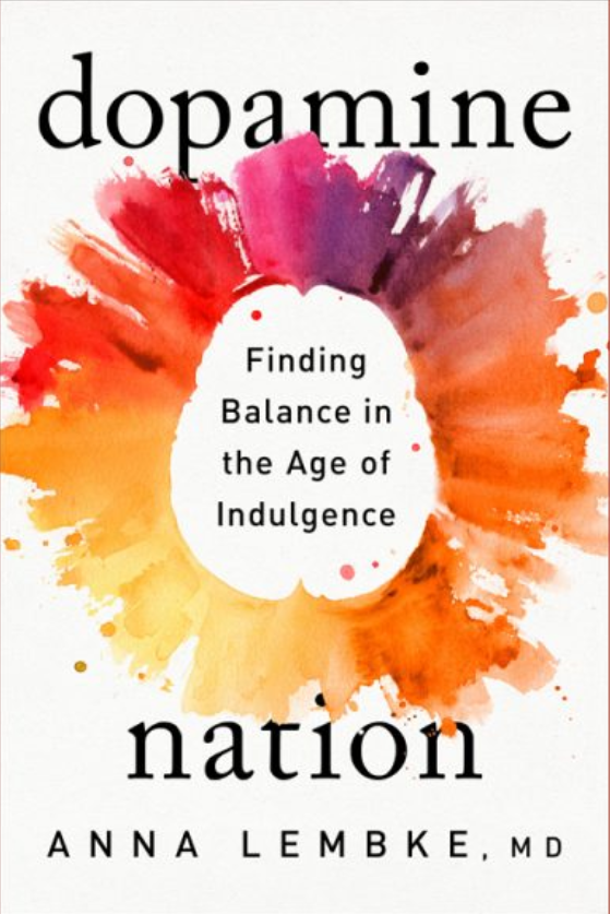 Cover of DOPAMINE NATION By ANNA LEMBKE